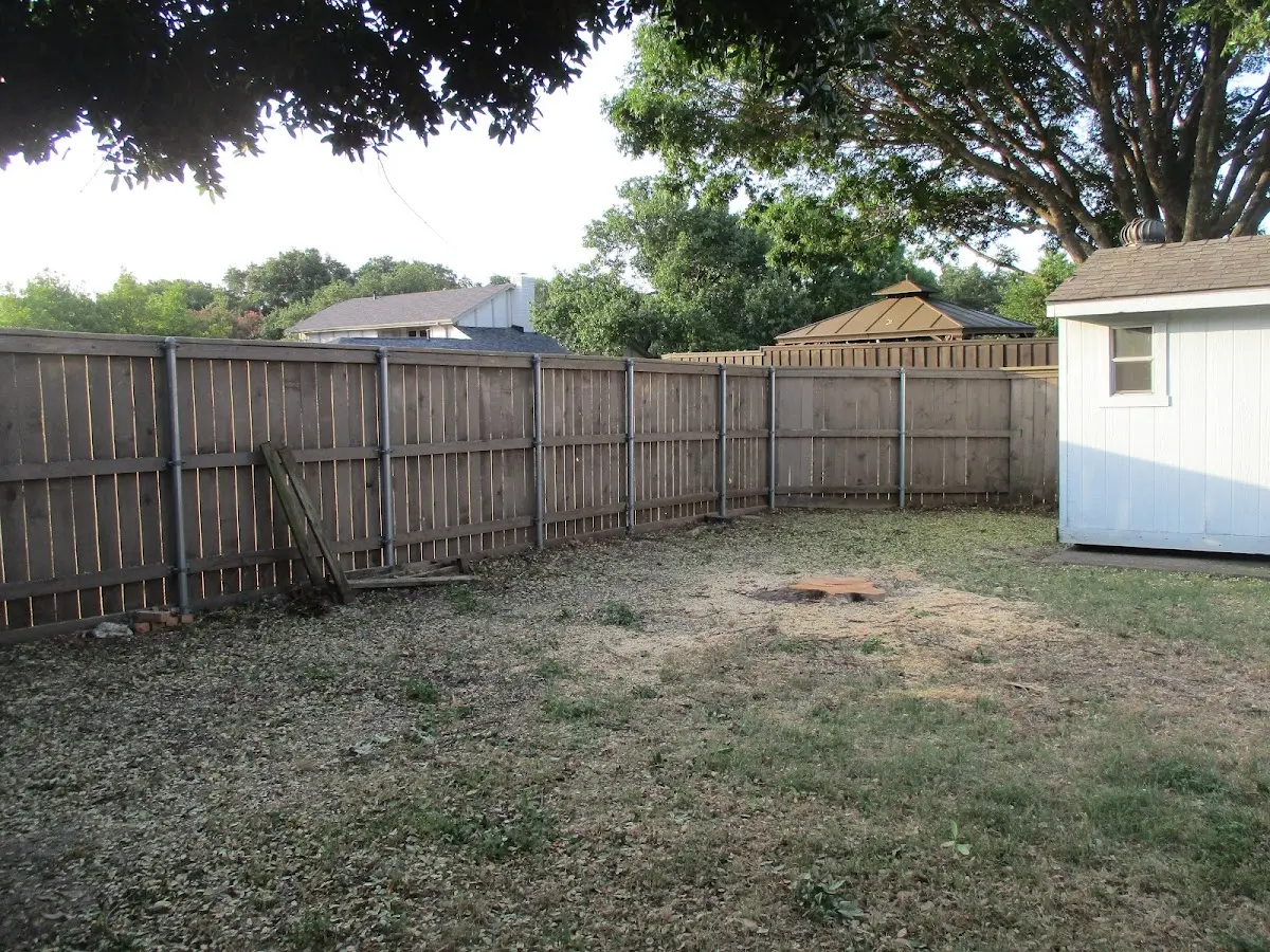 Cleared yard after professional tree removal in Cordova